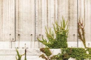 water dripping on wall